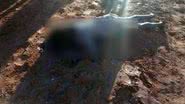 Imagem Mulher de 39 anos é morta com requintes de crueldade