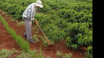 Imagem Senado envia à Câmara projeto que beneficia produtores rurais e aquicultores