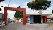 Imagem MP quer que alunos de Direito que fraudaram sistema de cotas sejam expulsos