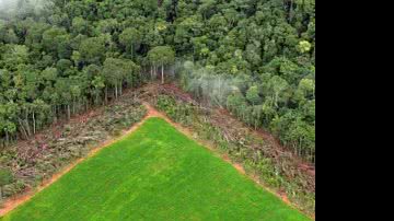 Imagem Decreto regulamenta Cadastro Ambiental Rural e cria Programa Mais Ambiente