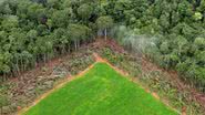 Imagem Decreto regulamenta Cadastro Ambiental Rural e cria Programa Mais Ambiente