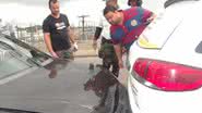 Imagem Carro da Itaipava causa acidente com cinco veículos em viaduto e motorista foge