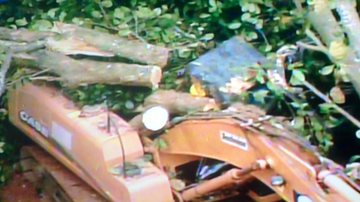 Imagem Árvore cai e mata operário em obra no bairro de Valéria