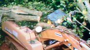 Imagem Árvore cai e mata operário em obra no bairro de Valéria