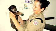 Imagem Cinco filhotes de cachorros sobrevivem a incêndio