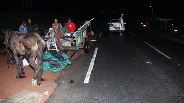 Imagem Acidente entre carro e carroça na BA-120 deixa burro ferido em Coité