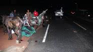 Imagem Acidente entre carro e carroça na BA-120 deixa burro ferido em Coité