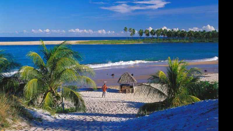 Imagem Evento da Insinuante no Hotel Iberostar termina em morte