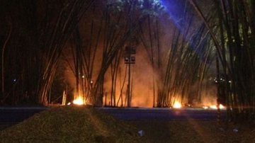 Imagem Bambuzal do aeroporto de Salvador é atingido por chamas