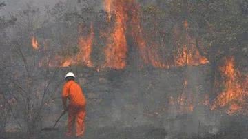 Imagem Estado pensa ações para combater focos de incêndios