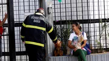 Imagem Com dificuldades, bombeiros controlam incêndio de prédio em Brotas 