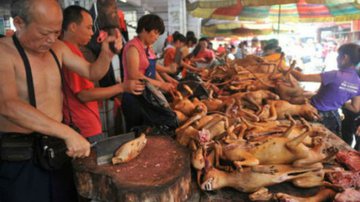 Imagem Açougueiros preparam abate de 10 mil cães durante festival na China