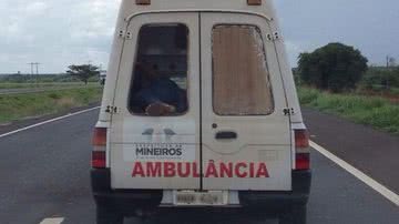 Reprodução