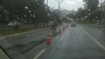 Imagem  Ciclovia vira cavalgafaixa: animais transitam livremente em pista do Itaigara
