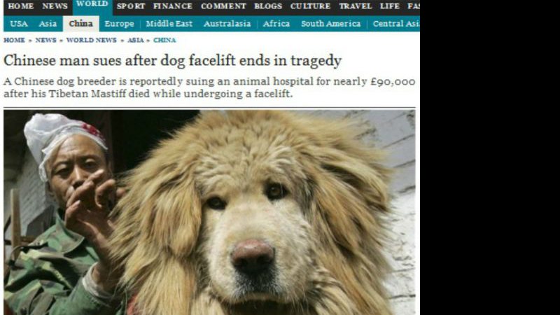 Imagem Cachorro morre em cirurgia plástica e chinês quer ser ressarcido