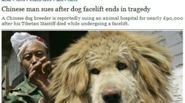 Imagem Cachorro morre em cirurgia plástica e chinês quer ser ressarcido