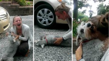 Imagem Vídeo: Cadela desmaia em reencontro com dona após dois anos