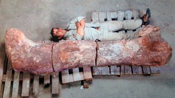 Imagem Homem acha osso de dinossauro que pesou quase 100 toneladas 