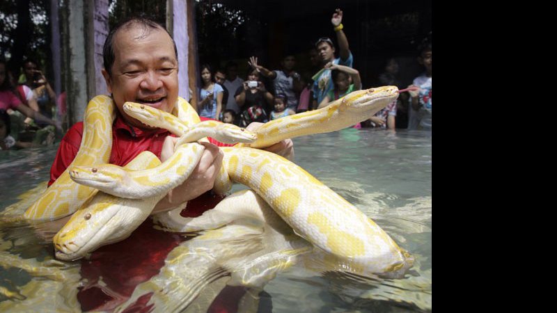 Imagem Filipino lê para a suas cobras de estimação