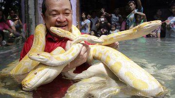 Imagem Filipino lê para a suas cobras de estimação