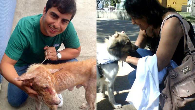 Imagem Marcell Moraes e Ana Rita Tavares “duelam” no Facebook