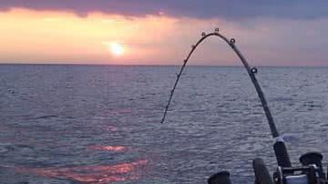 Imagem Farra do Bolsa-pesca em Ibotirama beneficia políticos 