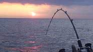 Imagem Farra do Bolsa-pesca em Ibotirama beneficia políticos 