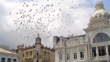 Imagem Rodoviária nega usar pega-tudo para matar pombos