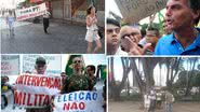 Brasil 247