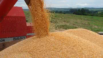 Imagem IBGE prevê que safra agrícola de 2014 será menor que a deste ano