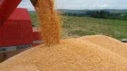 Imagem IBGE prevê que safra agrícola de 2014 será menor que a deste ano