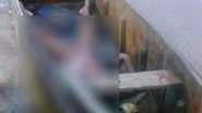 Imagem Alcobaça: acusado de matar mulher é encontrado morto em canoa