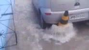 Imagem Enxurrada na Lapinha: Toda vez que chove ficamos ilhados. Veja imagens