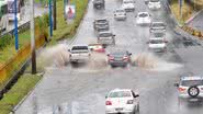Imagem Domingo com mais chuva: em três dias, Codesal já registrou 91 solicitações