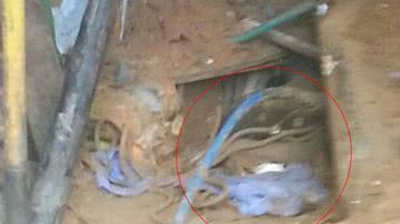 Imagem Corpo da mulher soterrada é tirado dos escombros em Fazenda Grande do Retiro
