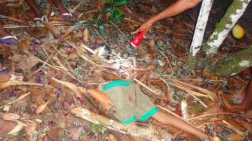 Imagem Criança é estuprada e morta a machadadas por usuário de drogas