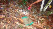 Imagem Criança é estuprada e morta a machadadas por usuário de drogas