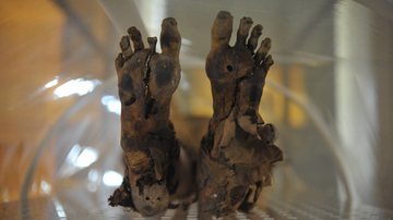 Imagem Museu Nacional sedia 8º Congresso Mundial de Estudos em Múmias