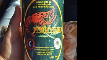 Imagem A cachaça de maconha vira febre no sertão