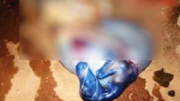 Imagem Carnes de abatedouro clandestino de jumentos eram vendidas na Bahia