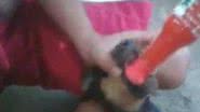 Imagem Vídeo mostra jovens fazendo filhote de cachorro engolir pimenta