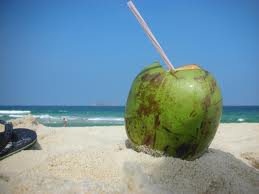 Imagem Bahia produzirá água de coco engarrafada sem conservantes químicos