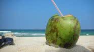 Imagem Bahia produzirá água de coco engarrafada sem conservantes químicos