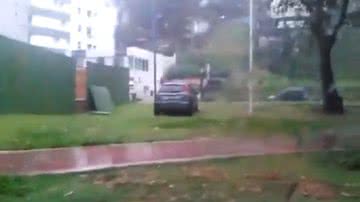 Reprodução