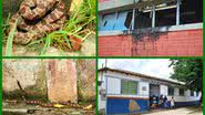 Imagem Itapebi: quase 15 meses de uma administração fantasma