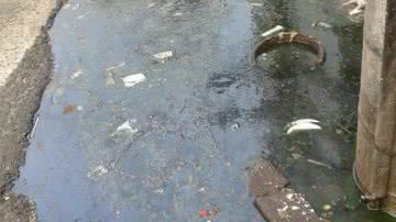 Imagem Sucop tenta explicar "podridão" na Carlos Gomes