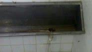 Imagem Denúncia:“policiais do Choque pagam para trabalhar e não recebem diária”