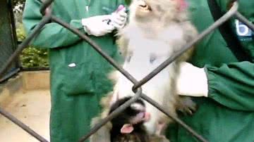 National Anti-Vivisection Society (NAVS)