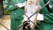 National Anti-Vivisection Society (NAVS)