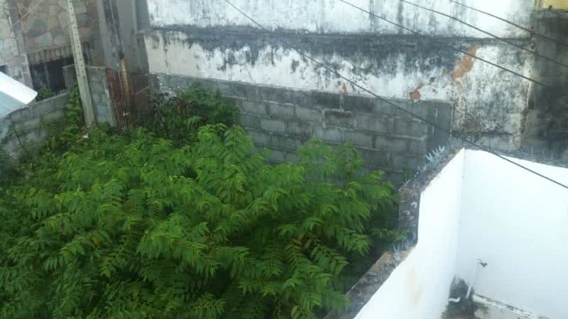 Imagem Você Repórter: homem abandona terreno e matagal no Rio Vermelho causa transtorno